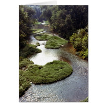 The Barren Fork Greeting Cards