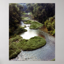 The Barren Fork Poster