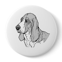 THE BASSET HOUND