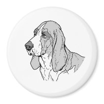 THE BASSET HOUND