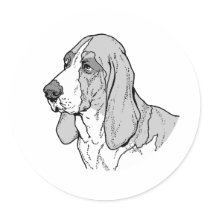 THE BASSET HOUND