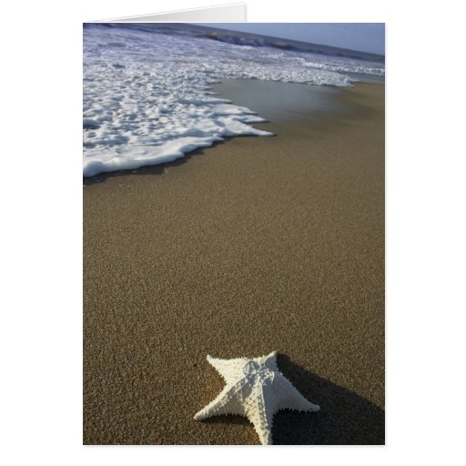 The Beach Card