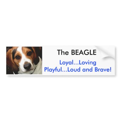 The BEAGLE Bumper Sticker by DrJLove
