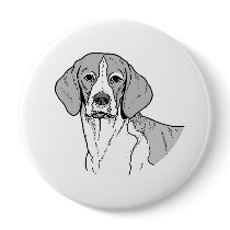 THE BEAGLE
