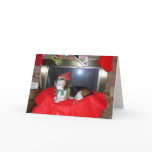 The Beagle Christmas Elf cards