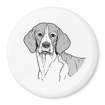 THE BEAGLE