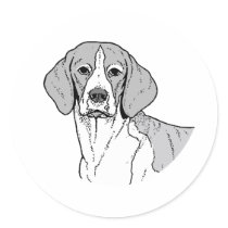 THE BEAGLE