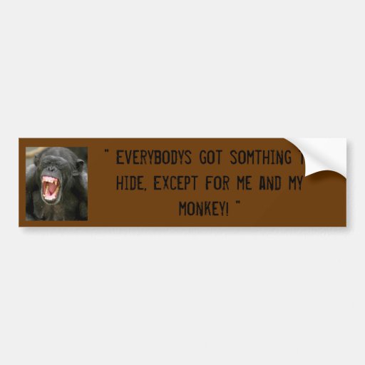 The beatles, song themed bumper sticker
