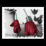 The Beauty Of Gravity - Miss you postcards