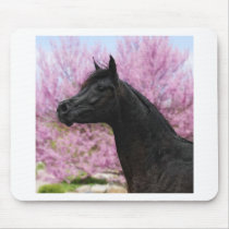 The Beauty of it all Mousepads