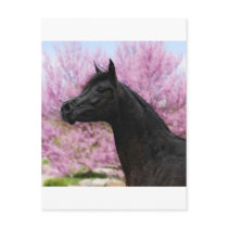 The Beauty of it all Postcards