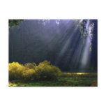 The Beauty of Mother Nature postcards