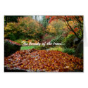 The beauty of the trees... cards