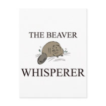 The Beaver Whisperer
