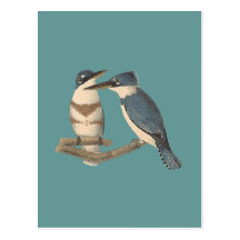 The Belted Kingfisher	 (Alcedo alcyon) Postcards
