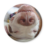 The Best Day of My Life magnets