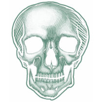 The Best Skull in the World, EVER! t-shirts