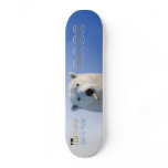THE BIG BOSS 3 skateboards