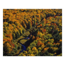 The Big Carp River in autumn at Porcupine