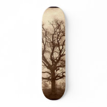 the big oak skate deck