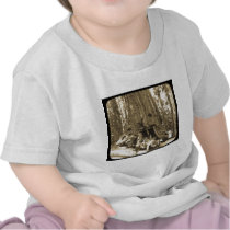 The Big Trees of Mariposa Grove Shirt