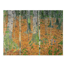 The Birch Wood, 1903 Postcard