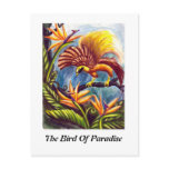 The Bird of Paradise Postcards