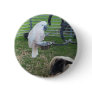 The Birdie and the sheep Pinback Buttons