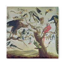 The Bird's Concert Magnet