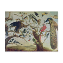 The Bird's Concert Post Card