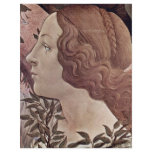 The Birth Of Venus Detail By Botticelli Sandro flyers