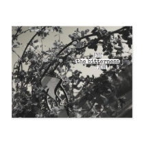 the bitterness postcards