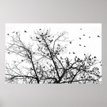 the black birds poster