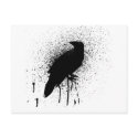 The black crow postcards