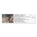 The Black Footed Cat bumper stickers