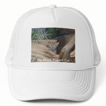 The Black Footed Cat Trucker Hats