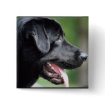 The Black Labrador Buttons