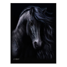The Black Postcard