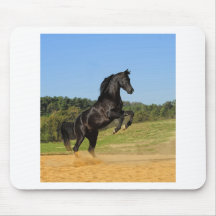 The Black Stallion Mouse Pads