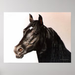 The Black Stallion Posters