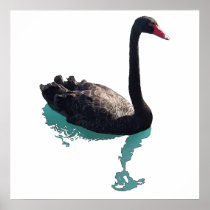 The Black Swan