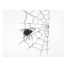 The Black Widow Announcements