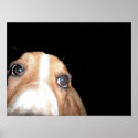 The blair dog posters