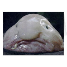 The Blobfish Greeting Cards