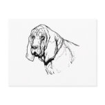 THE BLOODHOUND postcards