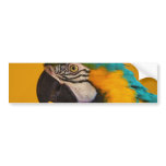 The Blue and Yellow Macaw Ara Ararauna Parrot Bird Bumper Sticker