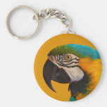 The Blue and Yellow Macaw Ara Ararauna Parrot Bird Key Chains