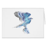 The Blue Hawk line. Greeting Card
