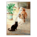 "The Blue Rug" - Sheltie & Cat cards