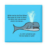 The Blue Whale... magnets